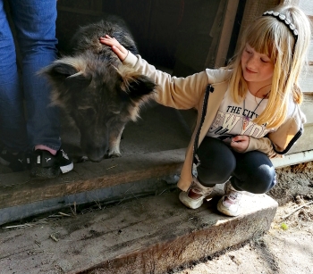 IMG_20250612_084104_edit_47887157104150