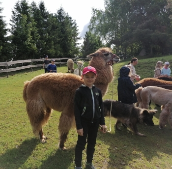 IMG_20250612_085001_edit_48151564705152