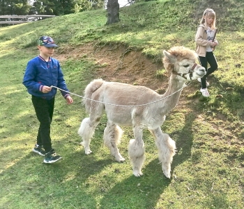 IMG_20250612_085036_edit_48198844897332