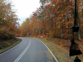 78dd939f-beec-4394-a6fc-62de7849794a (1).jpeg